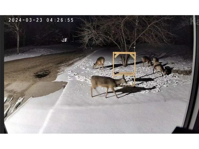 $489,900 | 5334 Highway 27, Alexandria, MN 56308