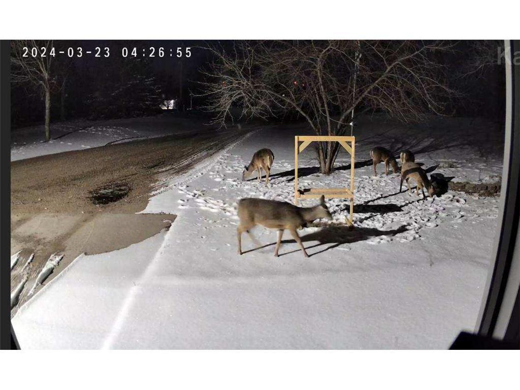 5334 Highway 27 Alexandria, MN 56308 - Photo 26 of 31