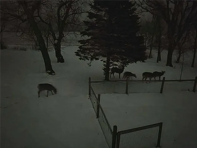 $489,900 | 5334 Highway 27, Alexandria, MN 56308