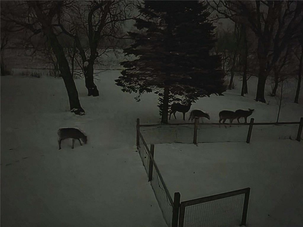 5334 Highway 27 Alexandria, MN 56308 - Photo 27 of 31