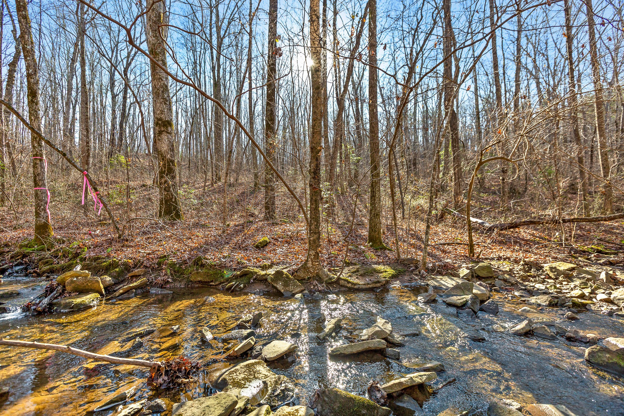 1824 Vandergriff Road Signal Mountain, TN 37377 - Photo 28 of 34 Gallery Image 28