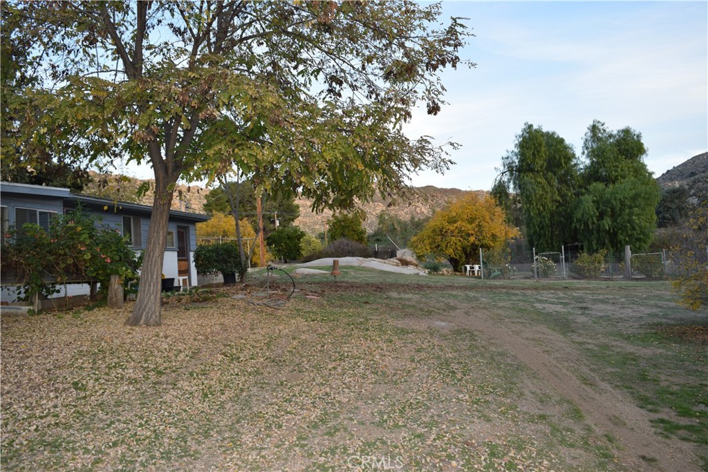 41329 Gibbel Road Hemet, CA 92544 - Photo 28 of 30 a view of a yard with a tree