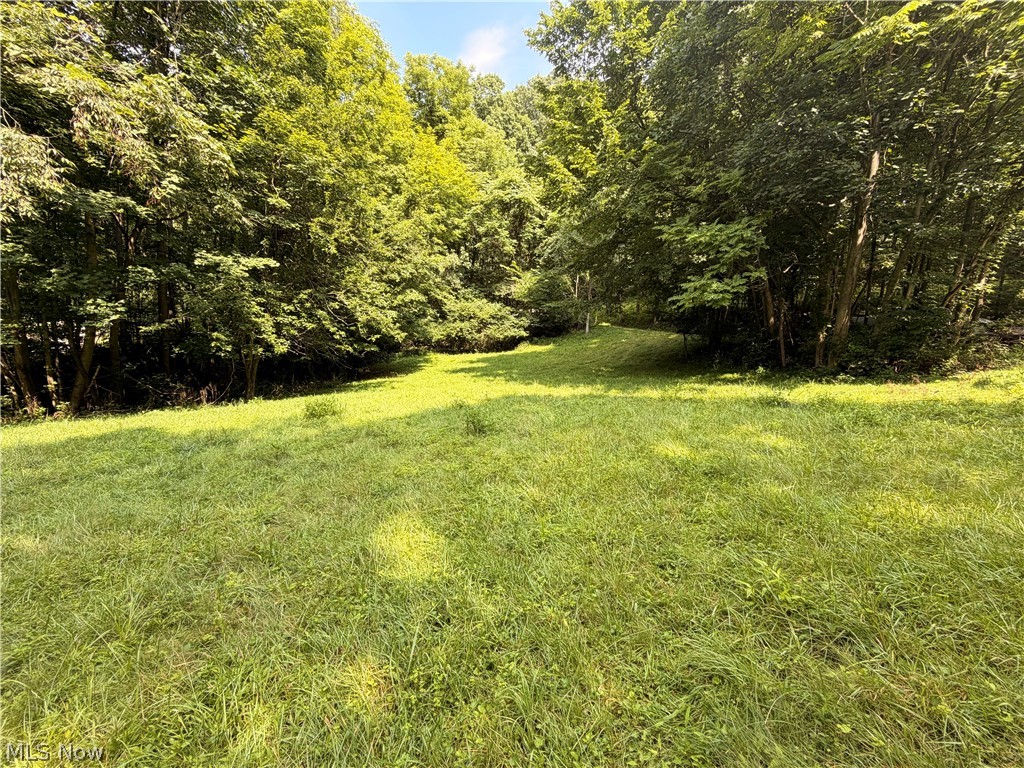 37301 Morrow Road Scio, OH 43988 - Photo 23 of 27 Gallery Image 23