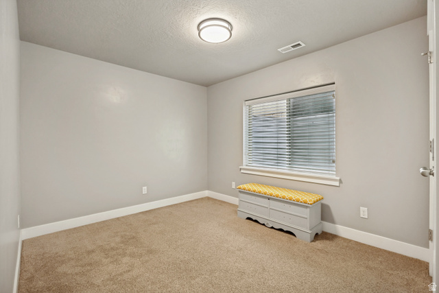 719 Shavey Lane Springville, UT 84663 - Photo 24 of 33