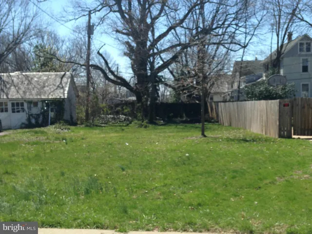a view of a backyard with a large tree