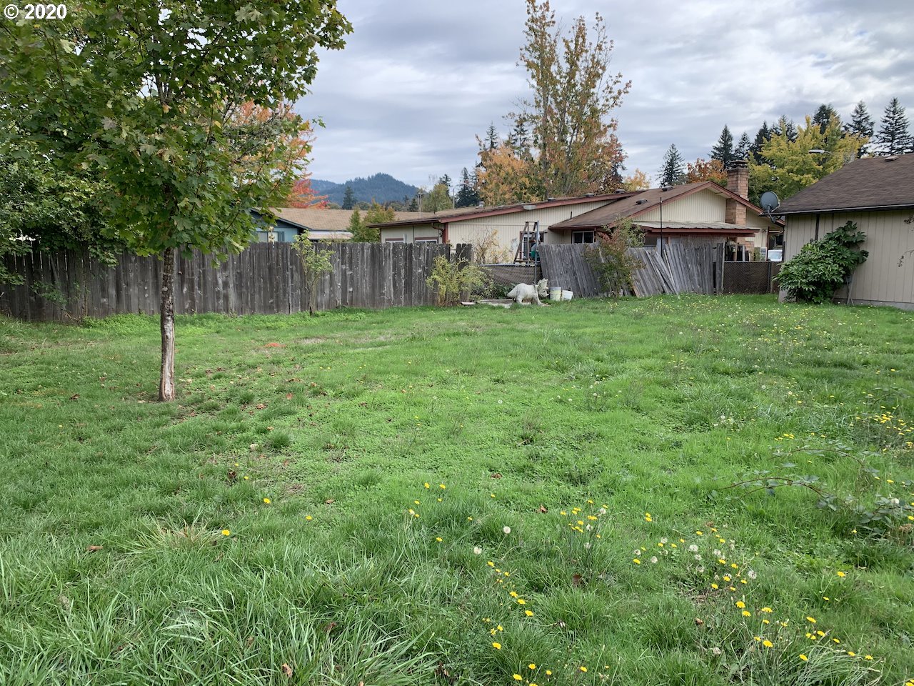5064 Forsythia Street Springfield, OR 97478 - Photo 15 of 15