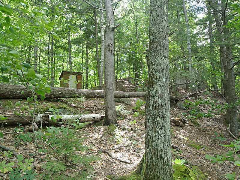 44 Dam Site Road Sebago, ME 04029 - Photo 8 of 19 Land.