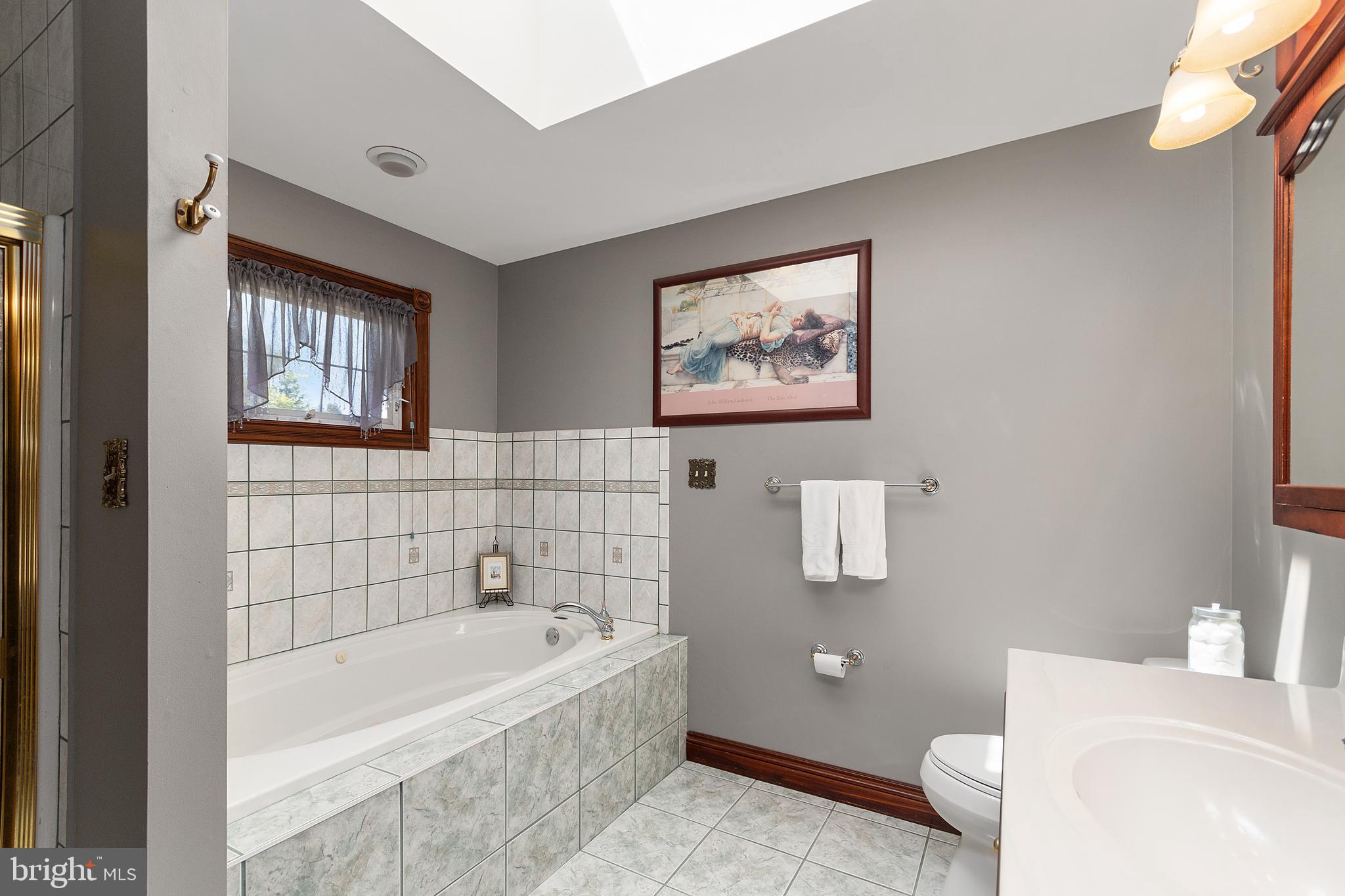 487 Radix Road Williamstown, NJ 08094 - Photo 21 of 36 a bathroom with a toilet a sink and bathtub