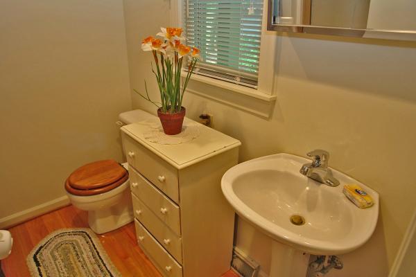 6288 Smith Mountain Road Penhook, VA 24137 - Photo 16 of 22 Bathroom