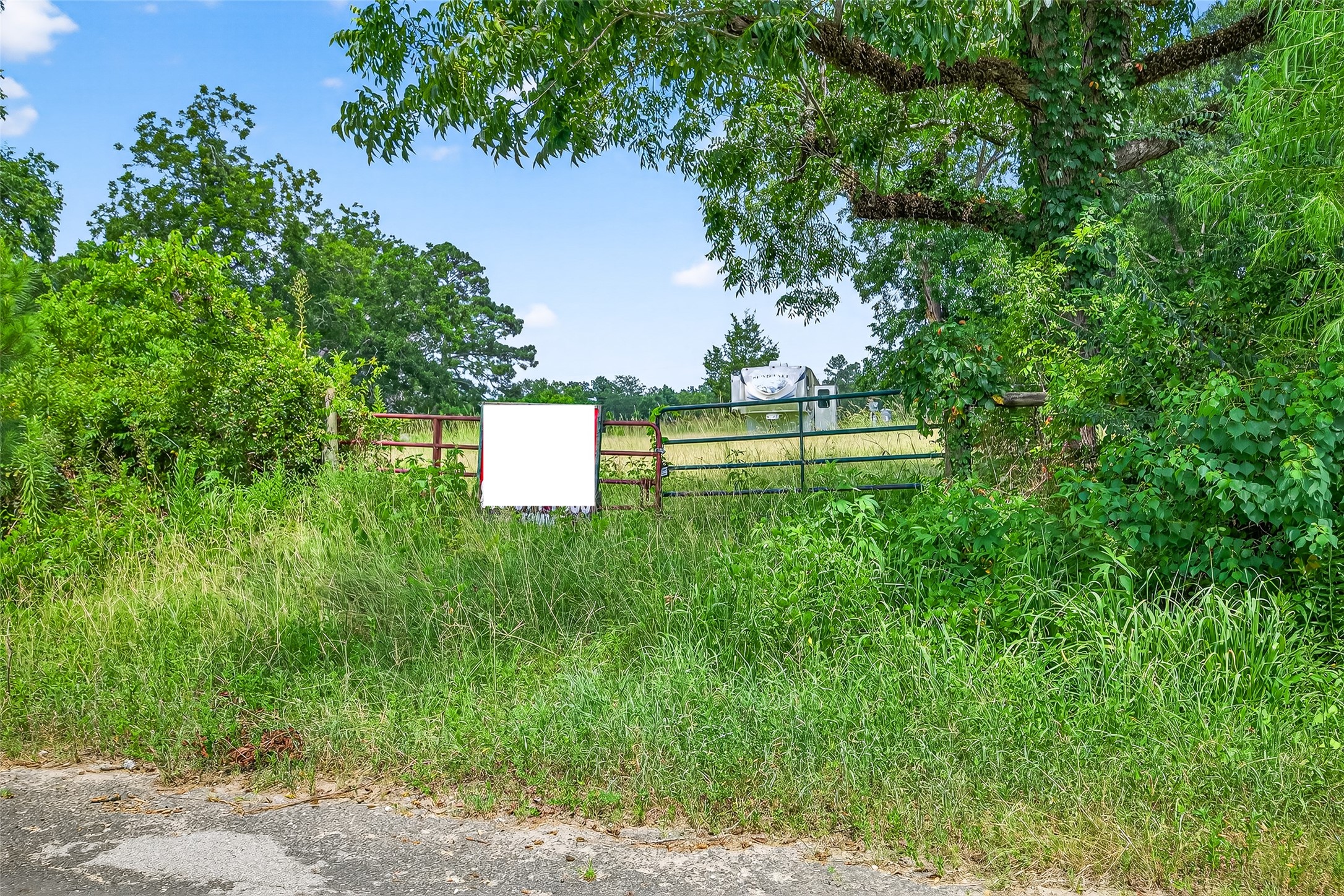 14132 North Old Highway 35 Road Moscow, TX 75960 - Photo 10 of 18 a view of a garden with a fountain