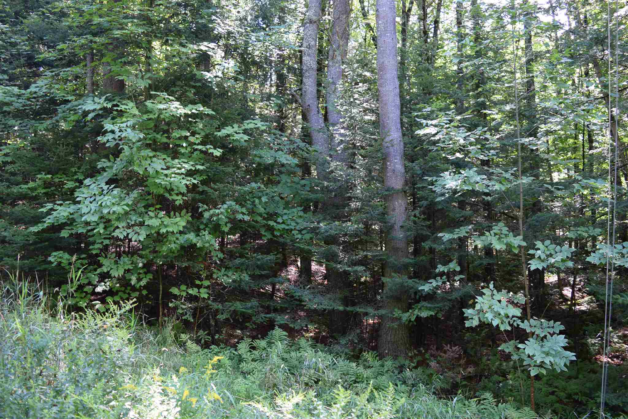 Lot 6 Ledgeway Road Littleton, NH 03561 - Photo 17 of 18