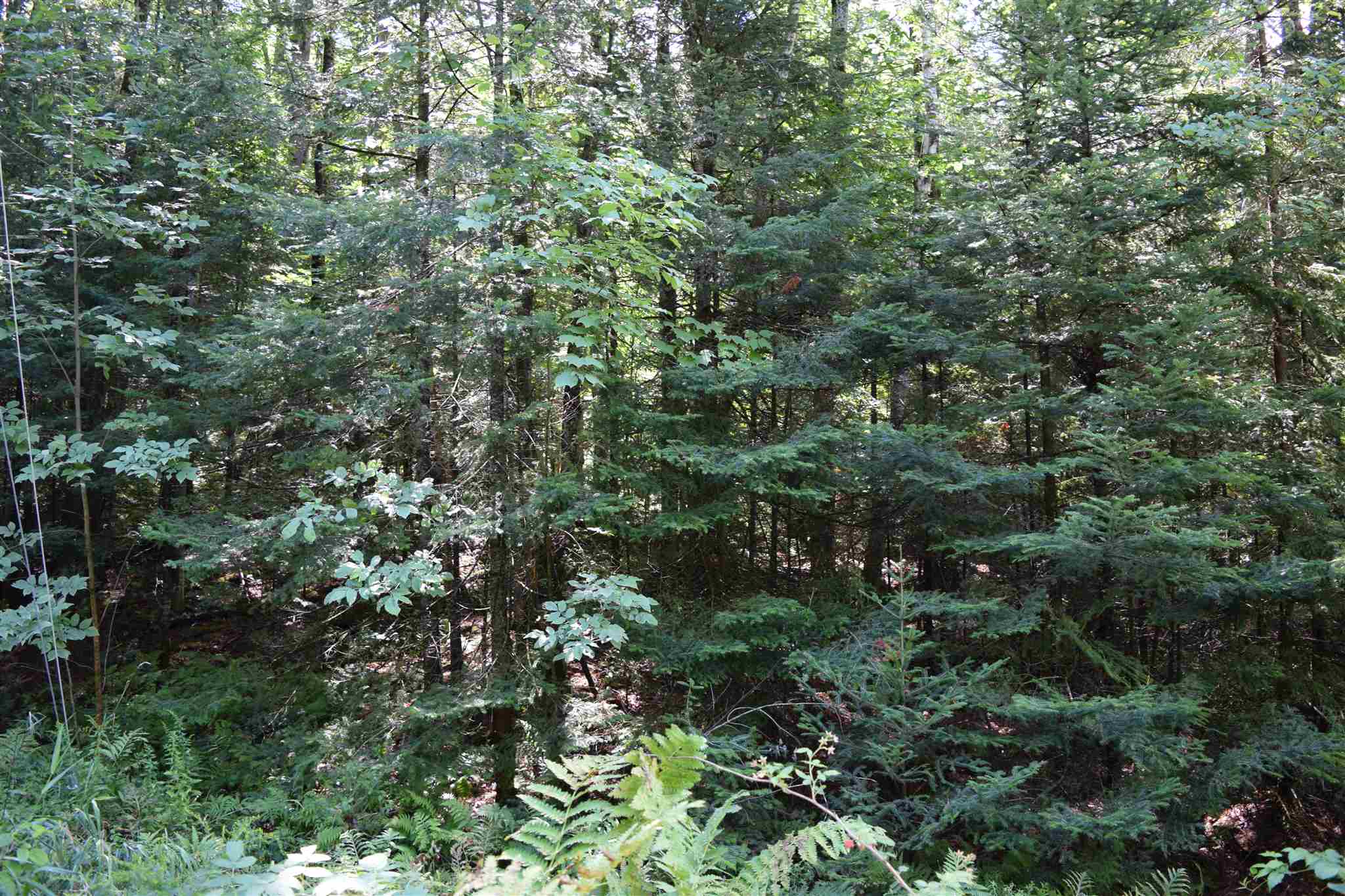 Lot 6 Ledgeway Road Littleton, NH 03561 - Photo 18 of 18