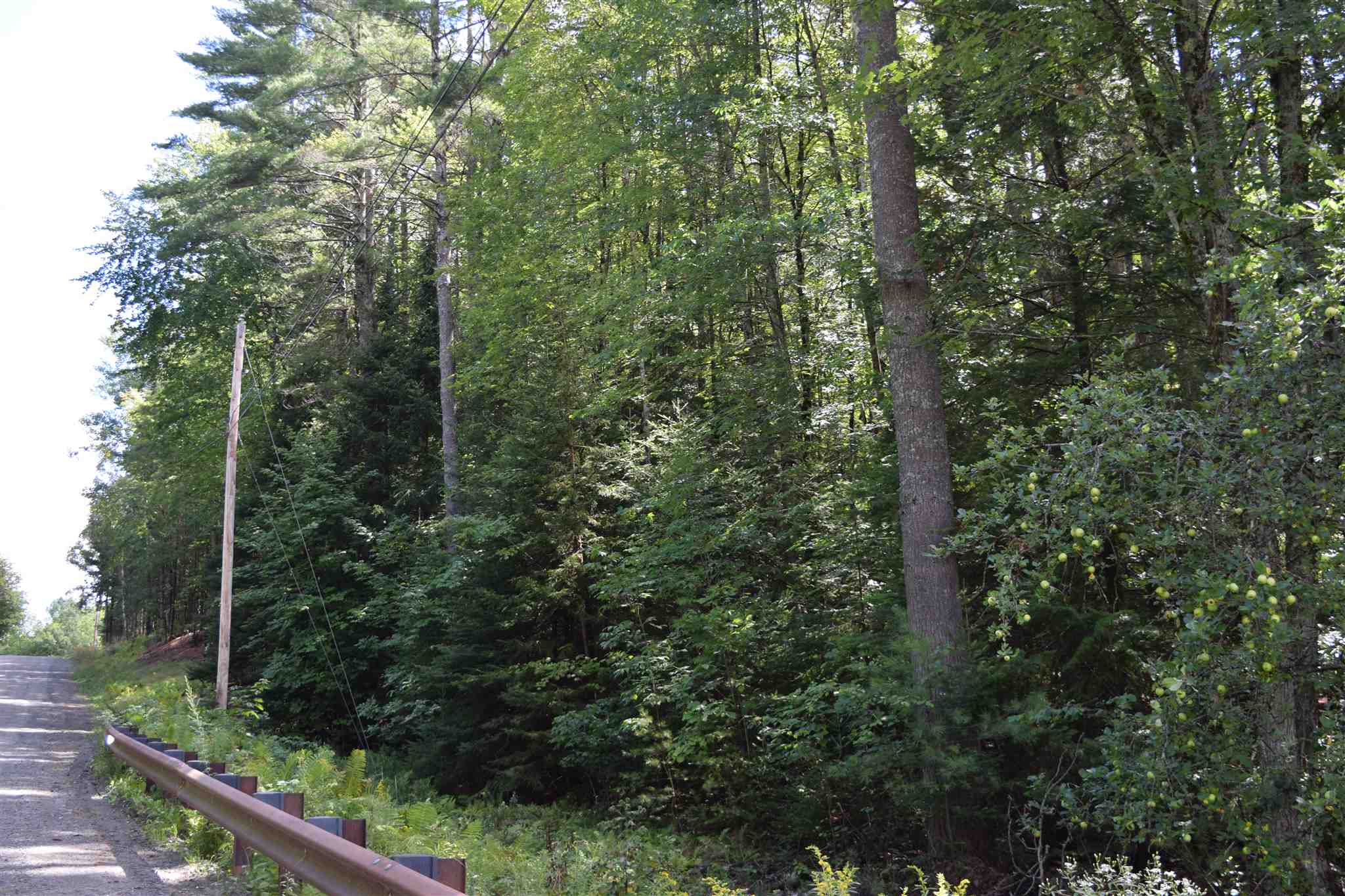 Lot 6 Ledgeway Road Littleton, NH 03561 - Photo 7 of 18