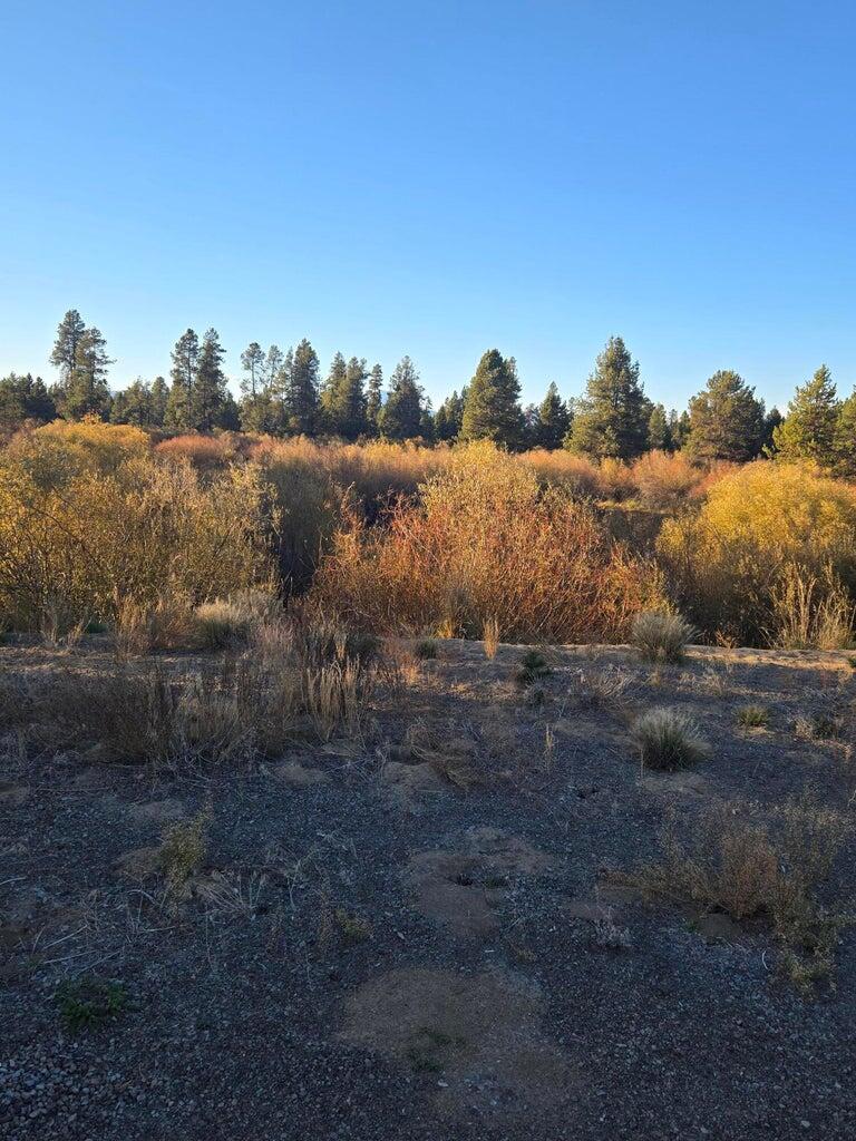 54735 Huntington Road Bend, OR 97707 - Photo 9 of 13