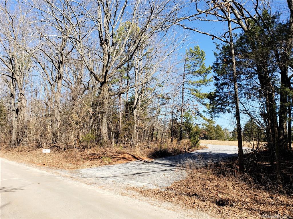 8131 Oak Tree Road Sharon, SC 29742 - Photo 9 of 36 a view of road and trees