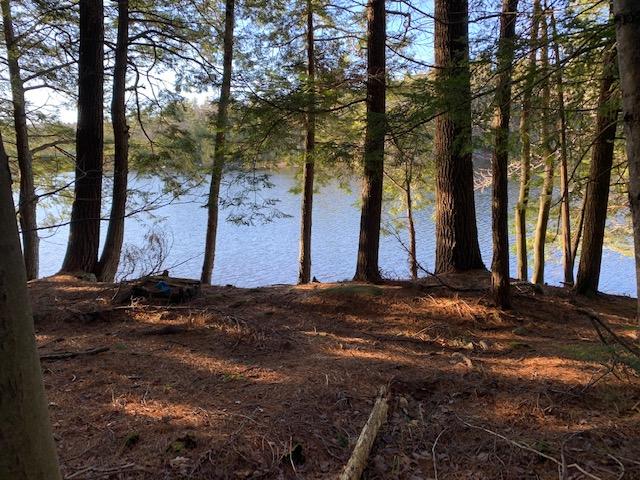 0 Pinnacle Road Liberty, ME 04949 - Photo 18 of 18 IMG_0701