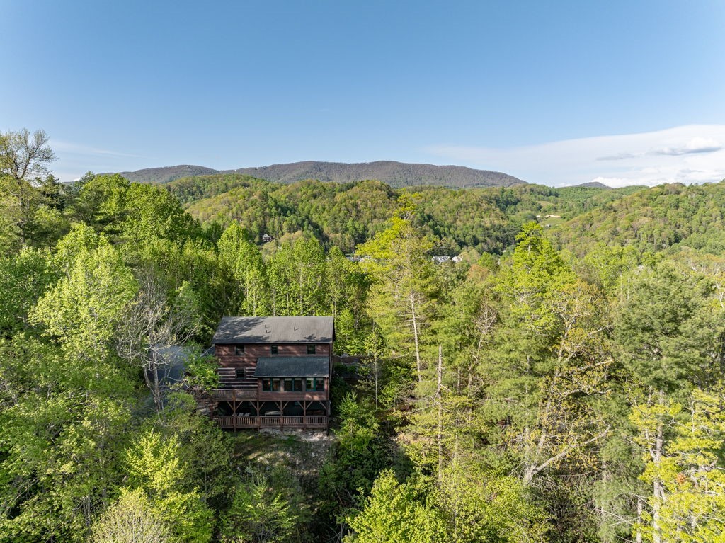 197 Woodby Ridge Road Vilas, NC 28692 - Photo 43 of 45 a view of a lush green field with lots of bushes