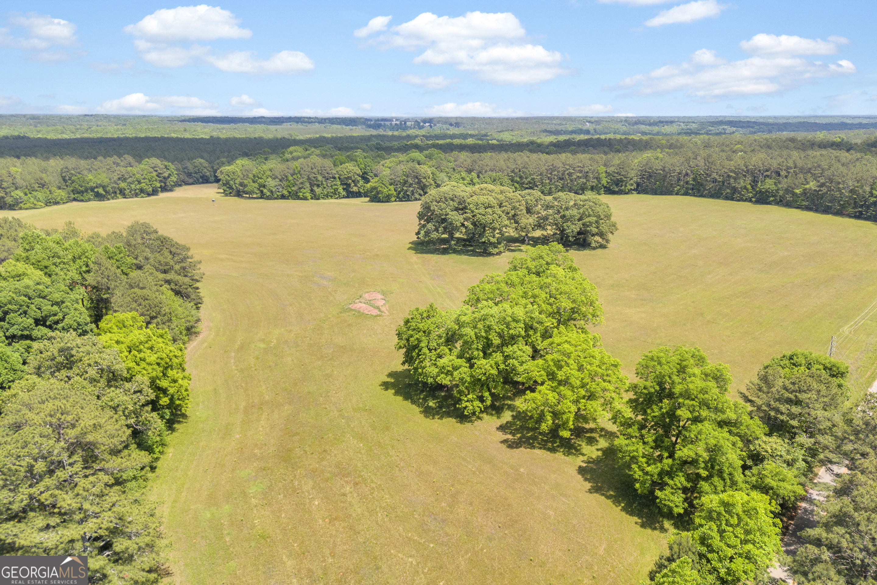 Lot B 0 Pitts Chapel Road Monticello, GA 31064 - Photo 5 of 5