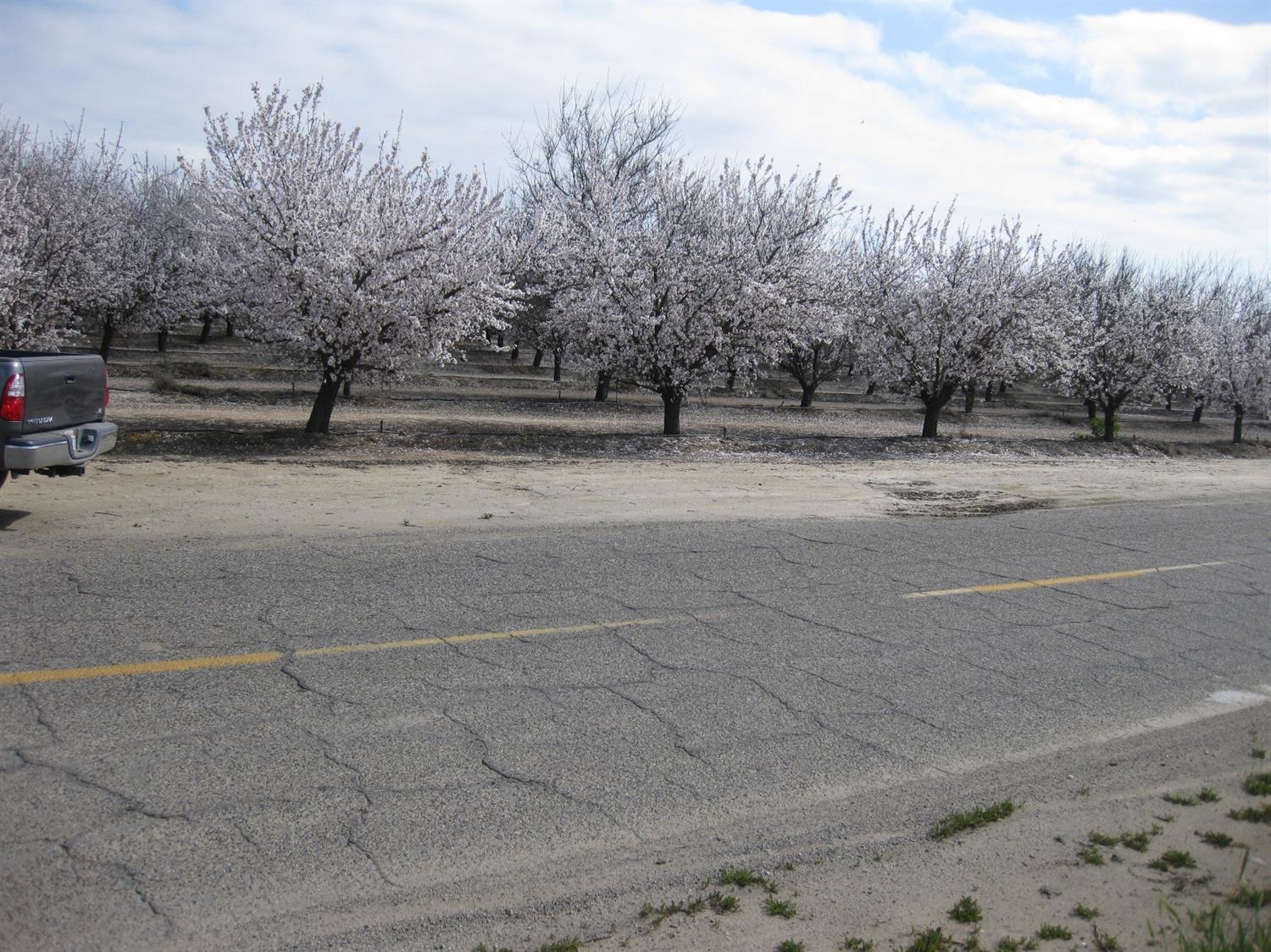 39192 Road 108 Cutler, CA 93615 - Photo 6 of 6 a view of path and trees