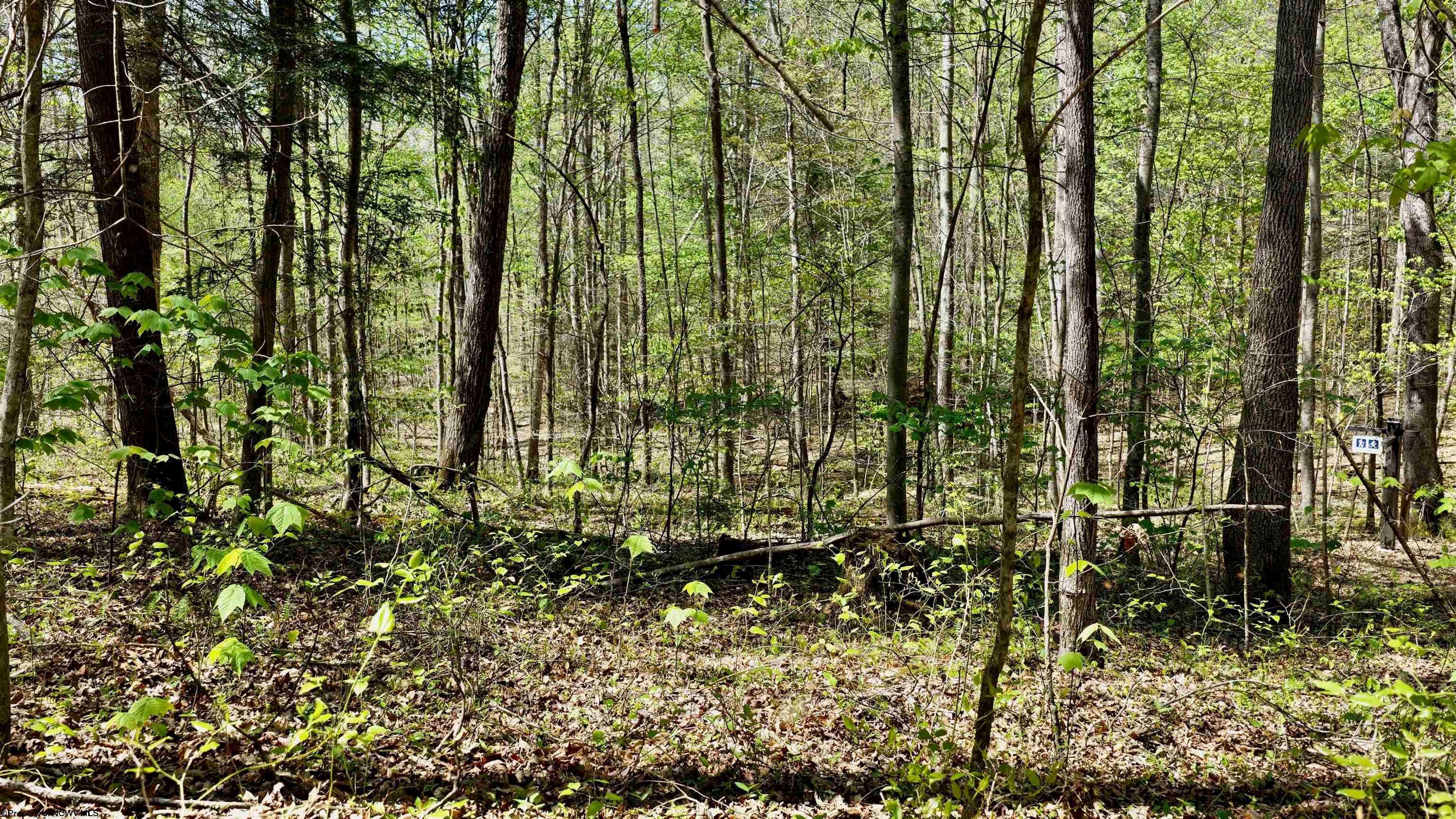 280 Peregrine Rdg Road Victor, WV 25938 - Photo 31 of 37 Gallery Image 31