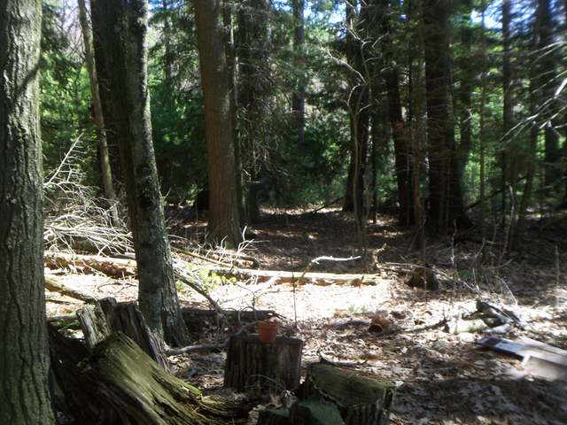 On North Carpenter Lake Road, Unit LOT 48 Eagle River, WI 54521 - Photo 3 of 9 Gallery Image 3