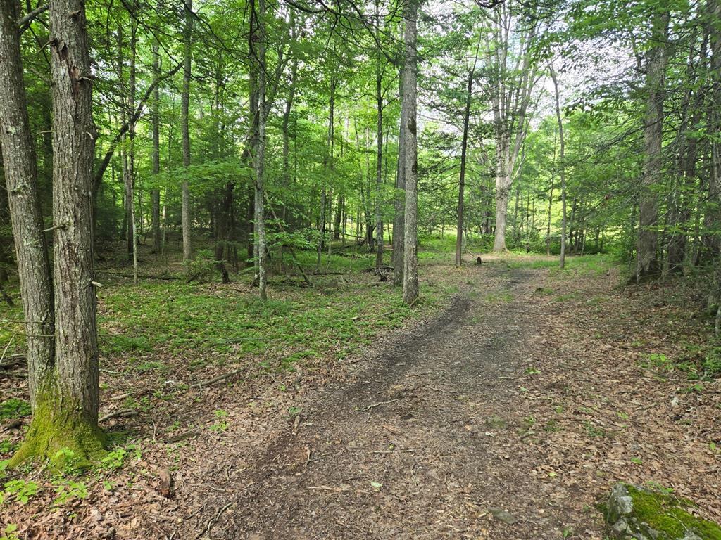Tbd Tbd Poor Valley Road, Unit 12 Ceres, VA 24318 - Photo 1 of 9 Gallery Image 1