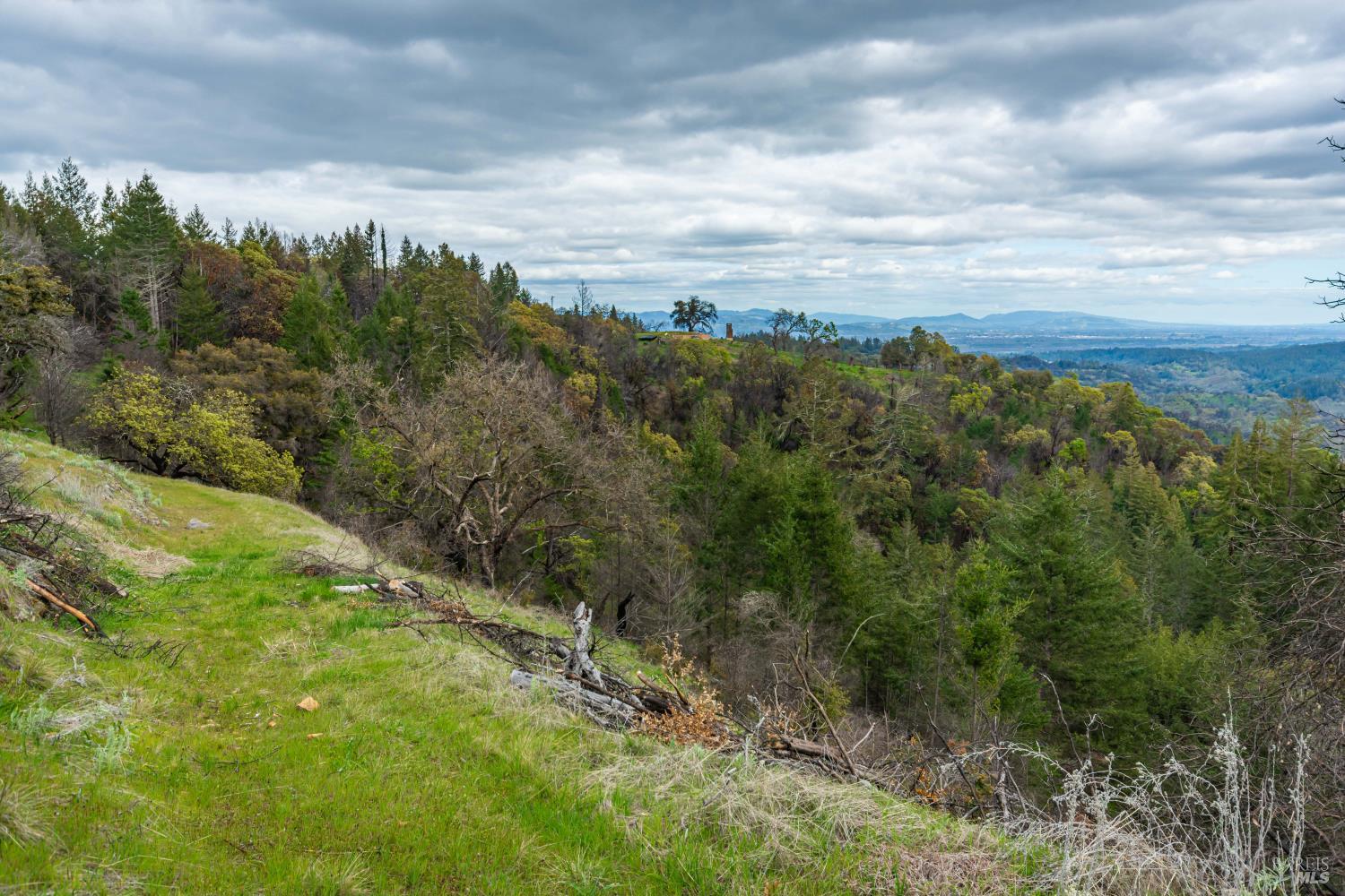 1401 Big Ridge Road Healdsburg, CA 95448 - Photo 65 of 86