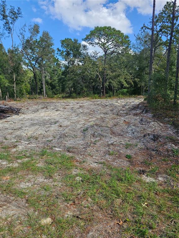 16484 Cayman Road Weeki Wachee, FL 34614 - Photo 1 of 1