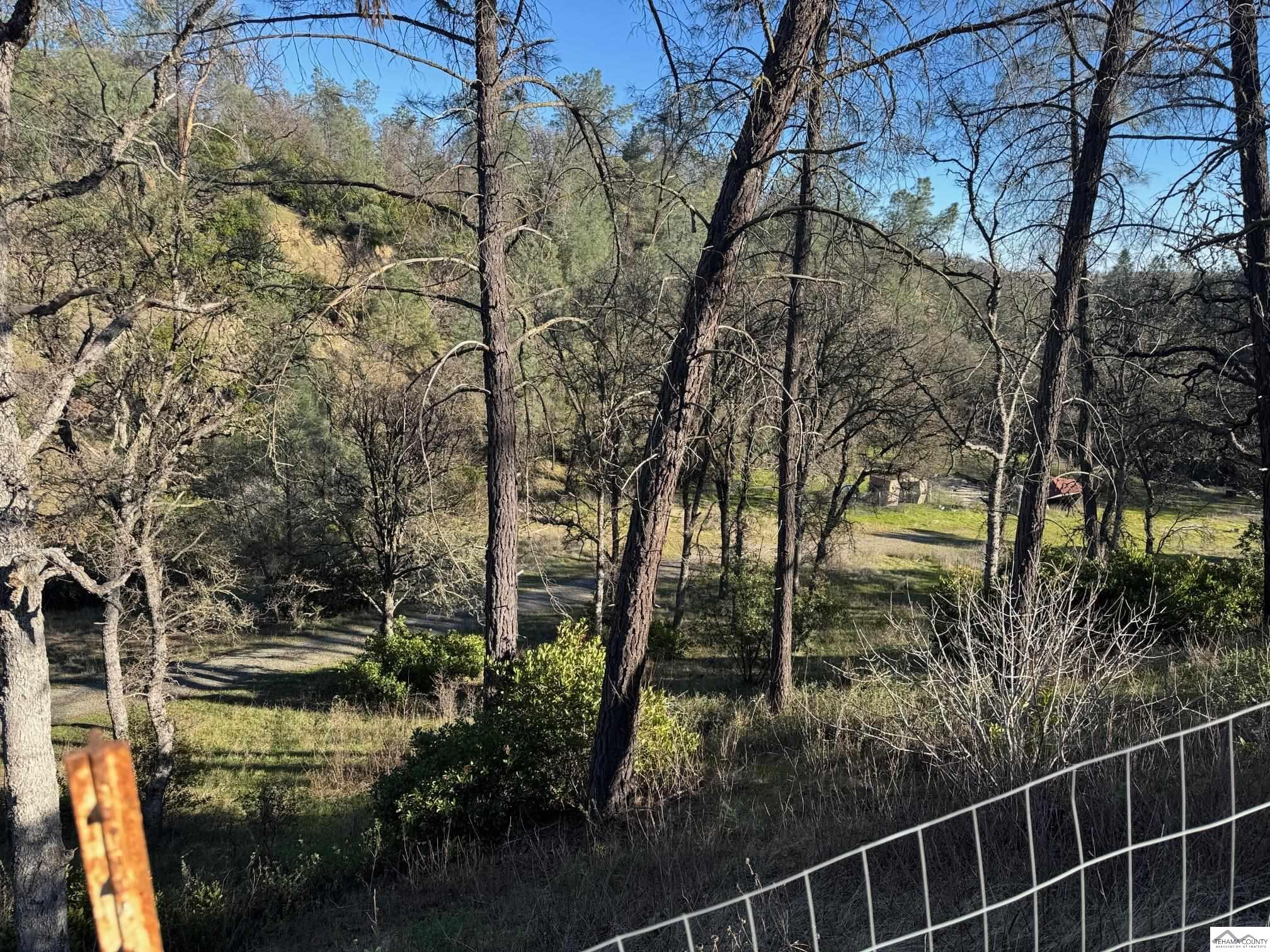16015 Apache Trail Corning, CA 96021 - Photo 4 of 21