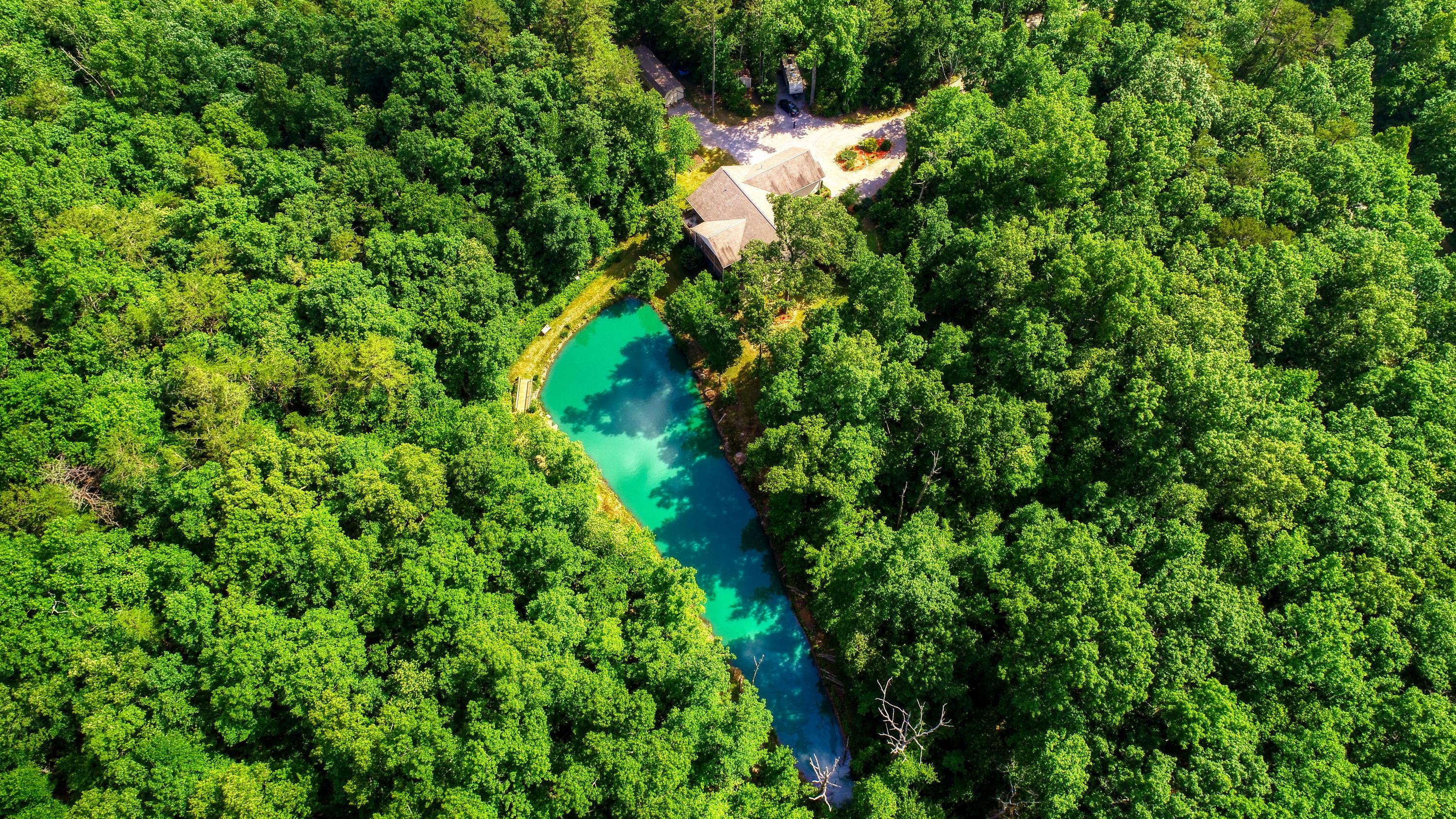 701 White Oak Road Monterey, TN 38574 - Photo 22 of 22 DJI_0092