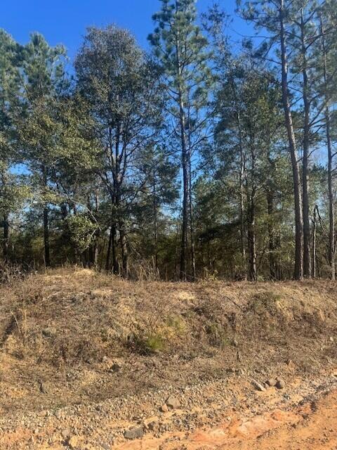 2140 McNutt Road Augusta, GA 30906 - Photo 1 of 2 McNutt land