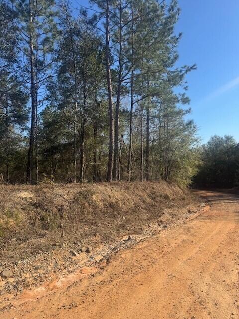2140 McNutt Road Augusta, GA 30906 - Photo 2 of 2 McNutt land 2