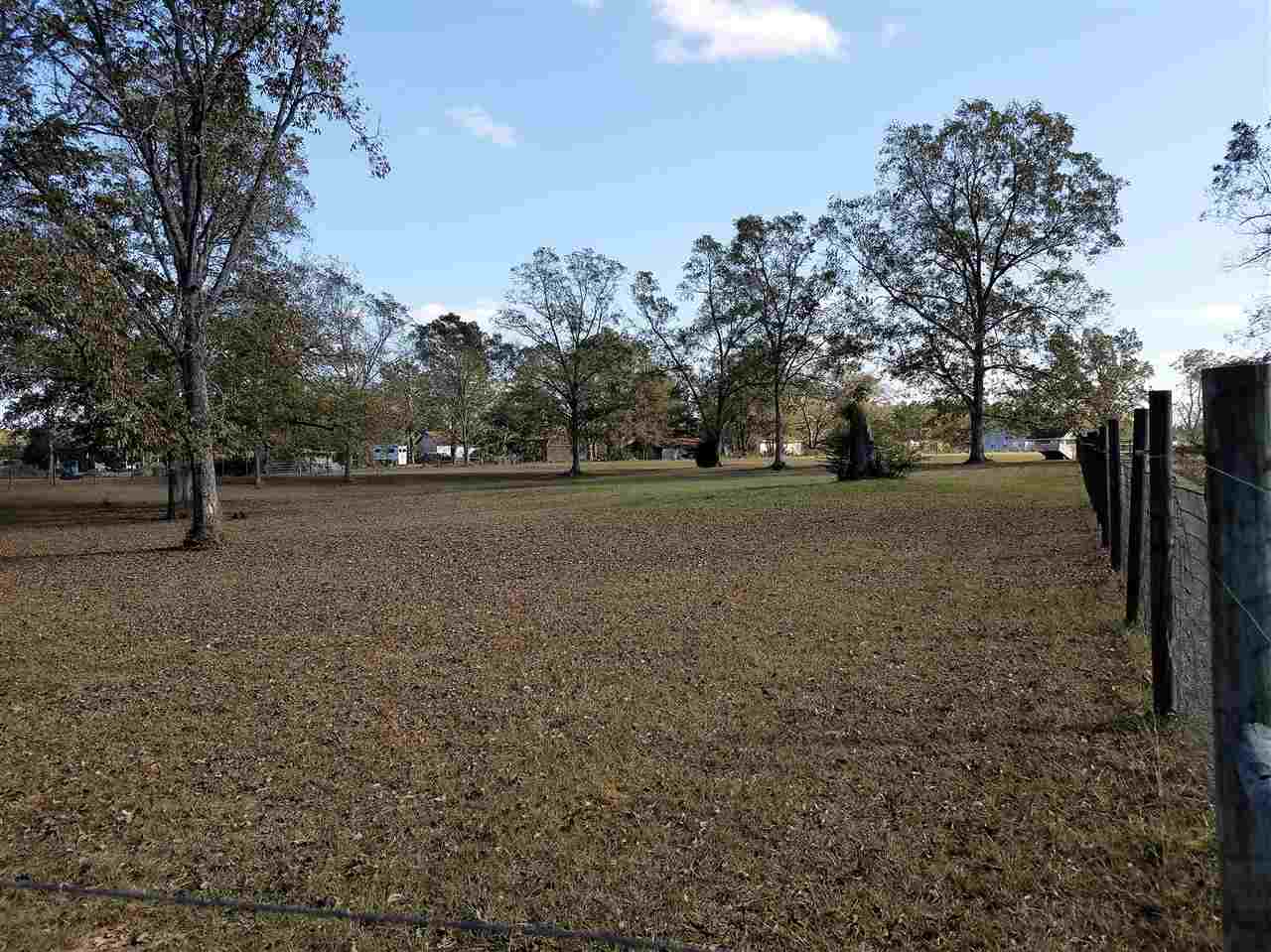 Xxxx Dollar Store Road Ochlocknee, GA 31773 - Photo 3 of 3