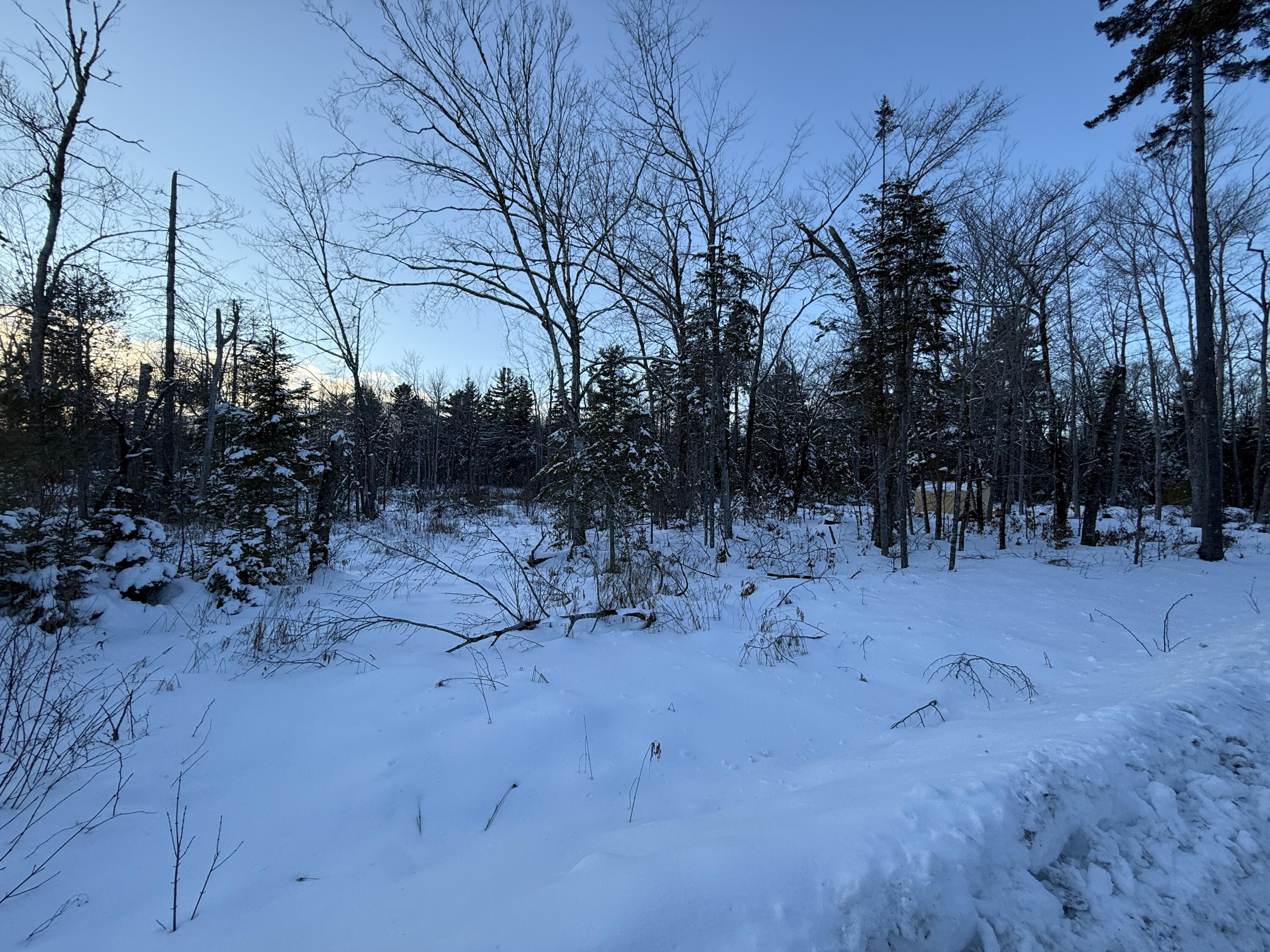 Lot 12 Sunset Hill Road Hancock, ME 04640 - Photo 6 of 6 IMG_1951