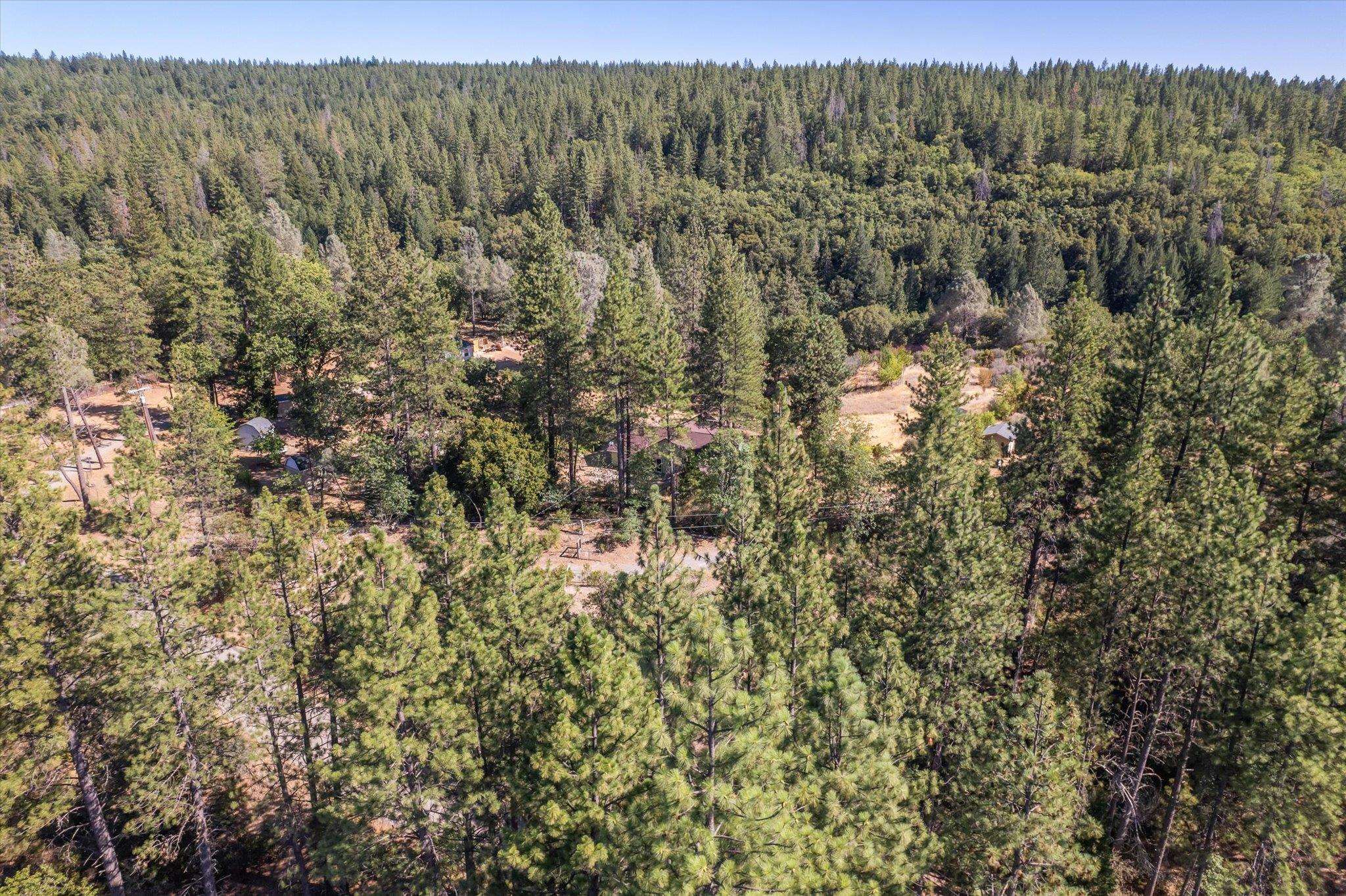 32943 Rock Creek Road Manton, CA 96059 - Photo 43 of 44