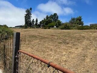 6711 Rohnerville Road Hydesville, CA 95547 - Photo 8 of 10