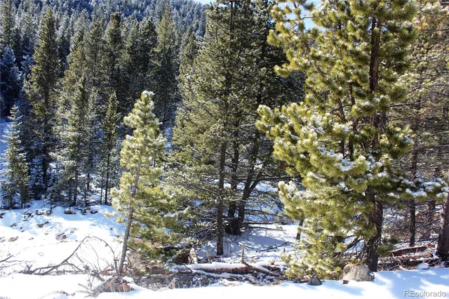 $40,000 | 0 Nevadaville Road, Central City, CO 80427