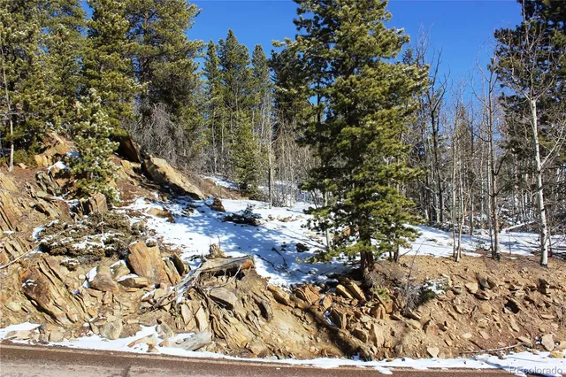 $40,000 | 0 Nevadaville Road, Central City, CO 80427