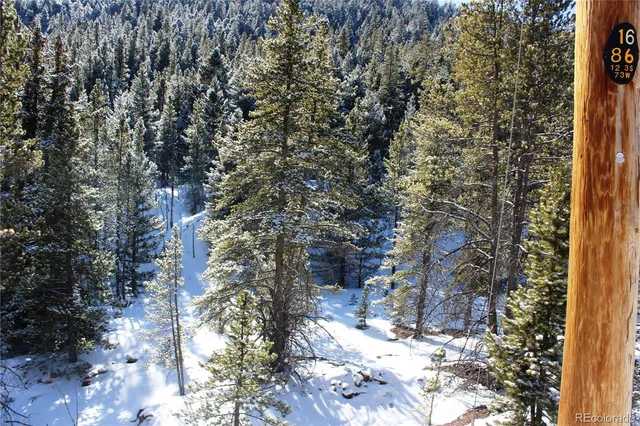 $40,000 | 0 Nevadaville Road, Central City, CO 80427