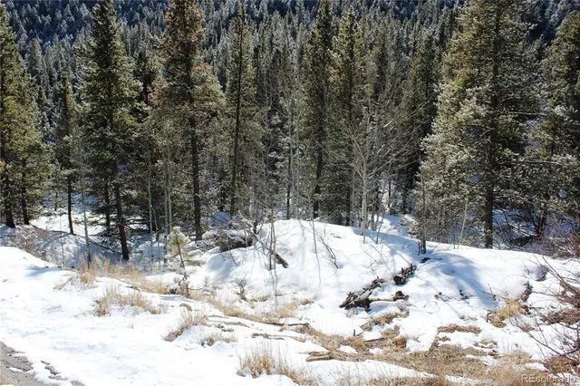 $40,000 | 0 Nevadaville Road, Central City, CO 80427