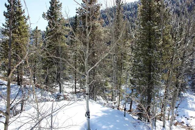 $40,000 | 0 Nevadaville Road, Central City, CO 80427