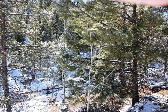 $40,000 | 0 Nevadaville Road, Central City, CO 80427