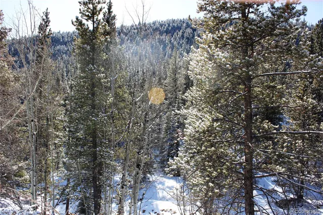 $40,000 | 0 Nevadaville Road, Central City, CO 80427