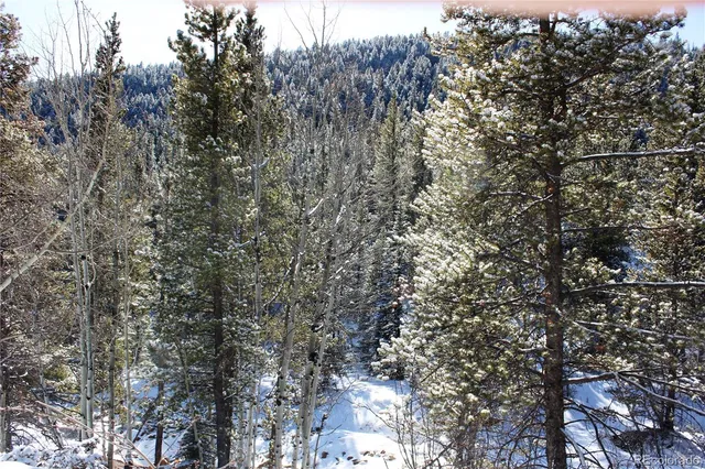 $40,000 | 0 Nevadaville Road, Central City, CO 80427