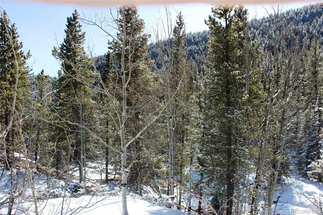 $40,000 | 0 Nevadaville Road, Central City, CO 80427