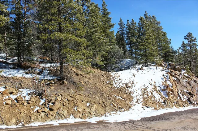 $40,000 | 0 Nevadaville Road, Central City, CO 80427