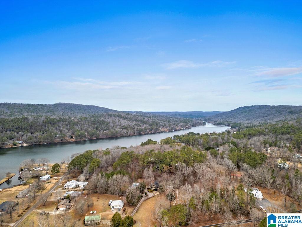 8306 Cedar Mountain Road Pinson, AL 35126 - Photo 33 of 44