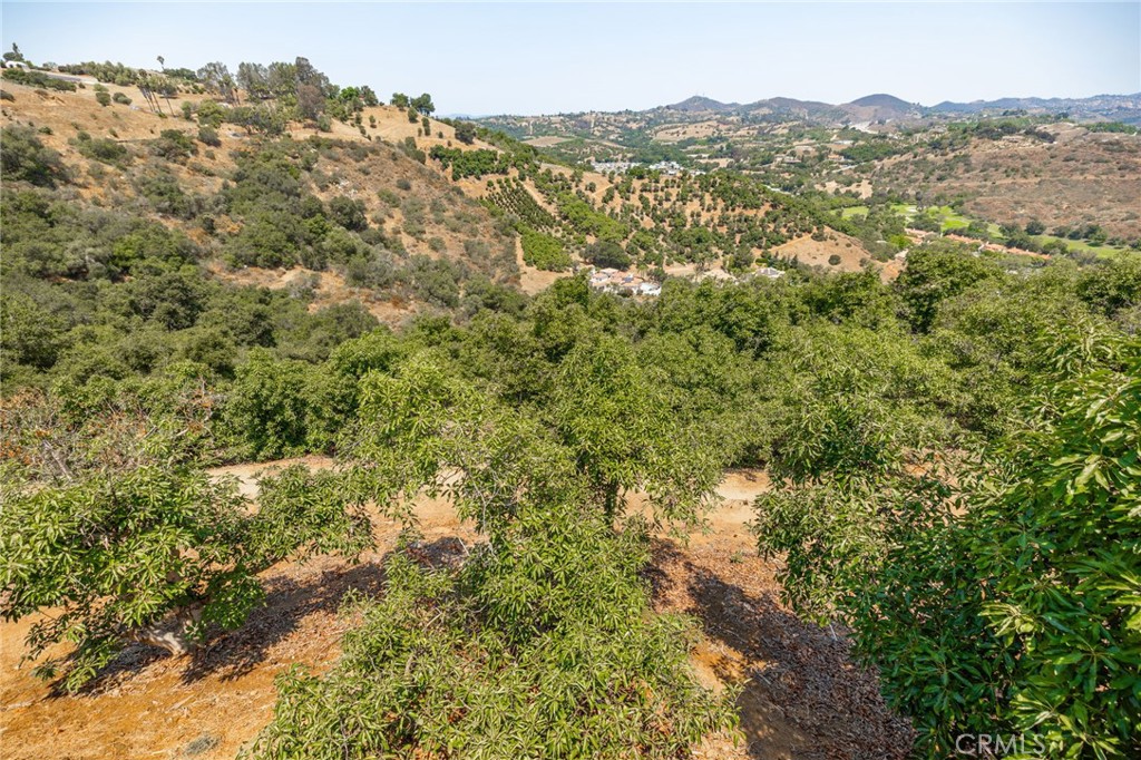 2125 Puerto Del Mundo Fallbrook, CA 92028 - Photo 48 of 52
