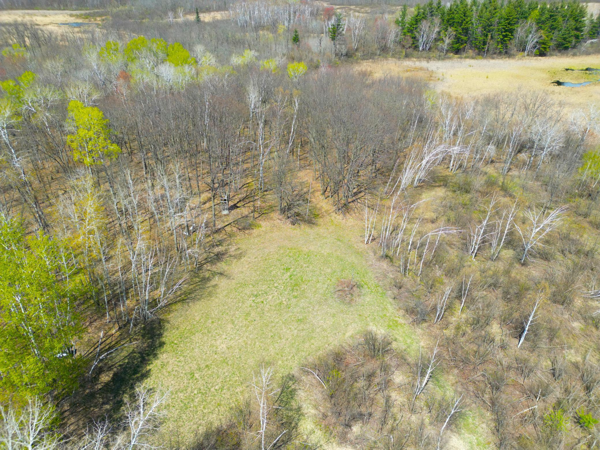 Xxx McGrew Road Isle, MN 56342 - Photo 2 of 92