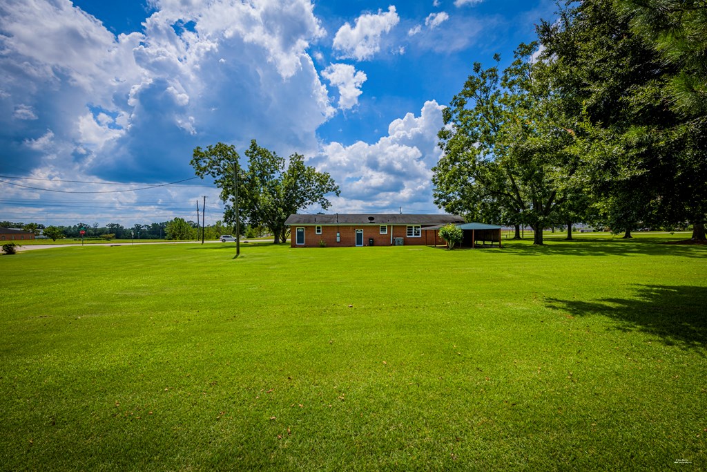 3101 Clayborne Road Dothan, AL 36303 - Photo 20 of 22 Rear view